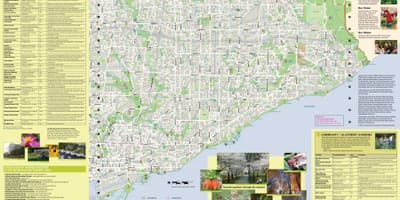 Kart bağlar Toronto İst