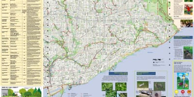 Kart park və piyada marşrutları Şərq Toronto